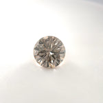 PAGE Estate Diamond Springer's Legacy 1.12 Carat Round Brilliant Cut W-Z/VS1