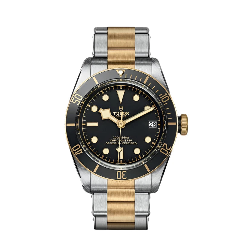 TUDOR Watch TUDOR Black Bay, Black Domed Dial, 41mm Stainless Seel Case (M79733N-0008)