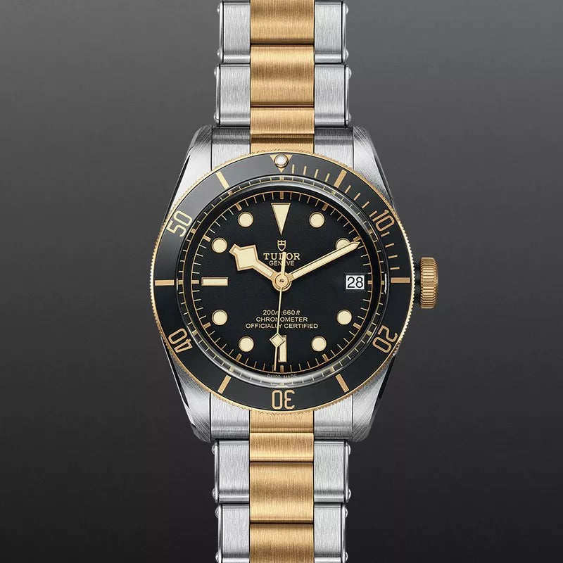 TUDOR Watch TUDOR Black Bay, Black Domed Dial, 41mm Stainless Seel Case (M79733N-0008)