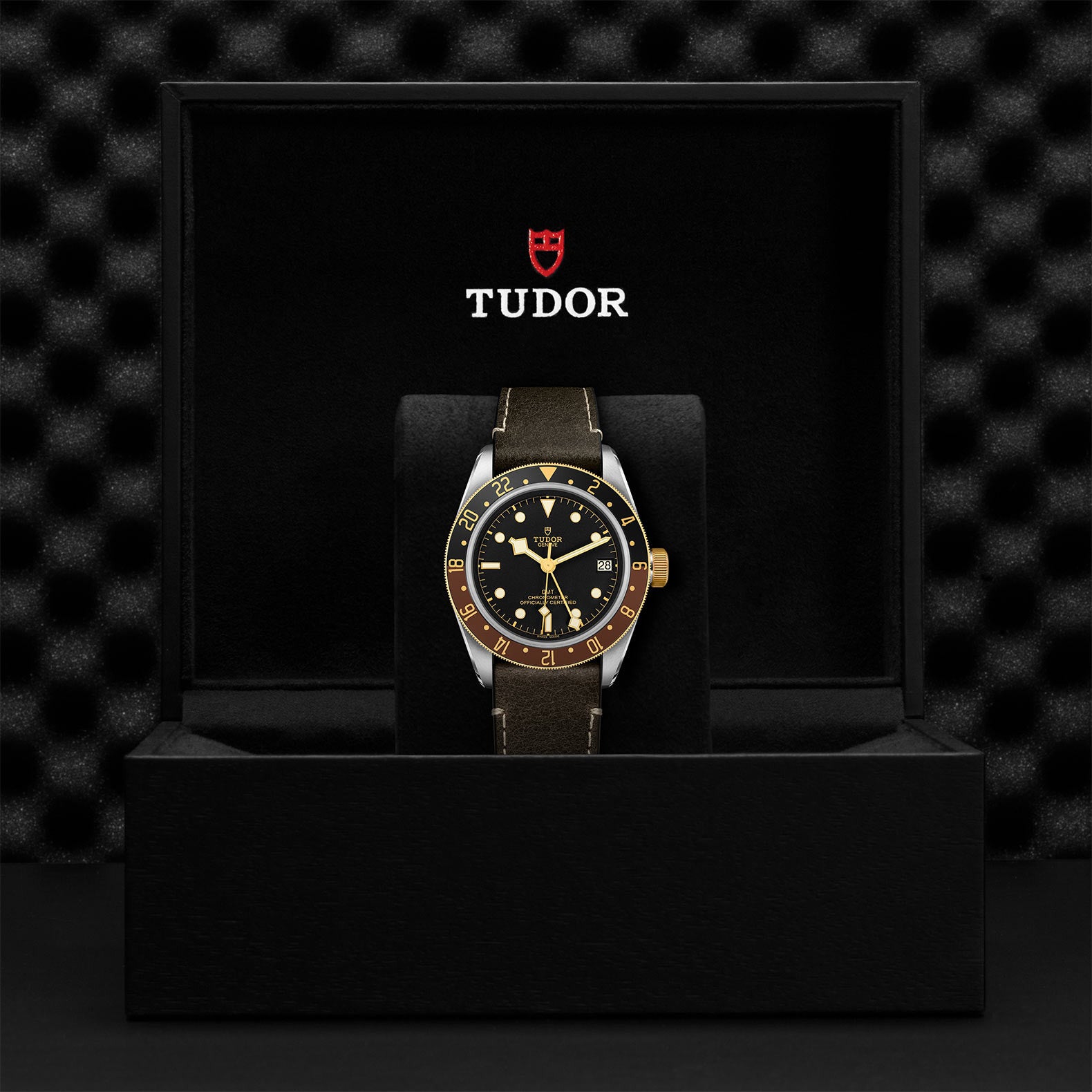 TUDOR Watch TUDOR Black Bay GMT S&G 41mm Case, Black Dial, Brown Leather Bracelet (M79833MN-0003)